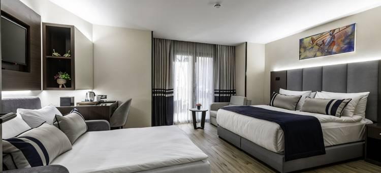 阿普里斯豪华酒店(Aprilis Deluxe Hotel)图片