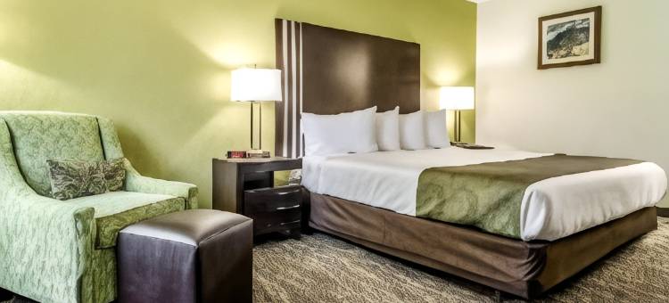 克里德穆尔 - 巴特纳的品质酒店及套房(Quality Inn & Suites Creedmoor - Butner)图片
