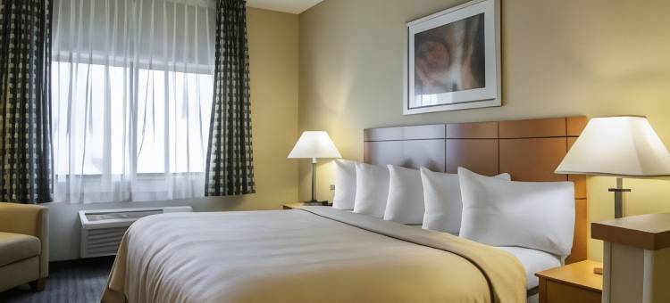 福赛斯-迪凯特品质酒店(Quality Inn Forsyth Decatur)图片