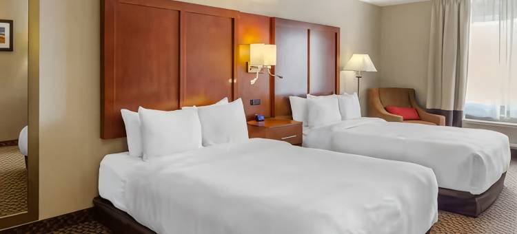 斯特灵舒适套房酒店(Comfort Inn & Suites Sterling)图片
