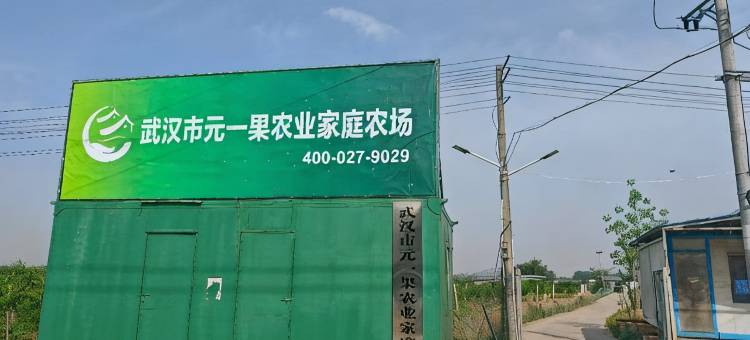 武汉元一果农业家庭农场图片