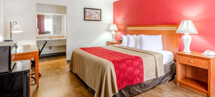 伊克诺旅馆(Econo Lodge Martinsville)图片