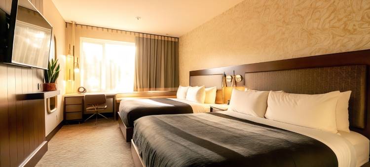 图芬诺泽德酒店(Hotel Zed Tofino)图片