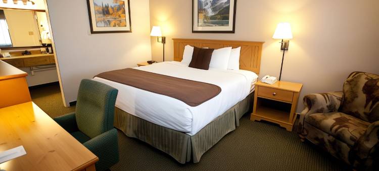 谢里登中心贝斯特韦斯特酒店(Best Western Sheridan Center)图片