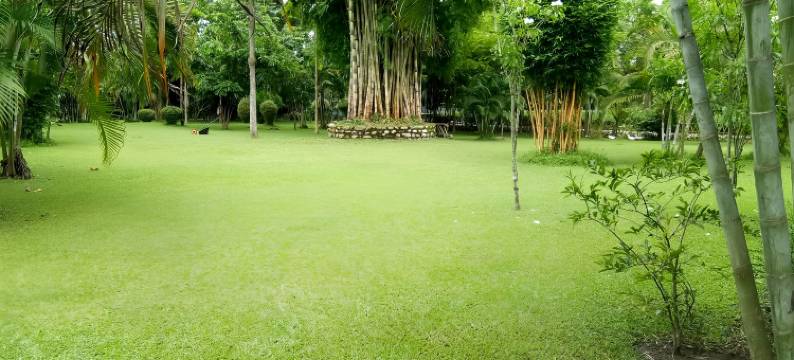 SDD竹村度假村(Sdd Bamboo Village Resort)图片