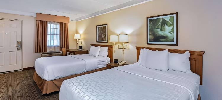 圣安东尼奥I-35瑞特曼路拉昆塔温德姆酒店(La Quinta Inn by Wyndham San Antonio I-35 N at Rittiman Rd)图片