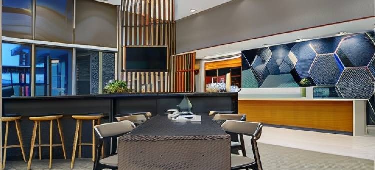 Marriott Franklin Cool Springs的SpringHill套房(SpringHill Suites Franklin Cool Springs)图片