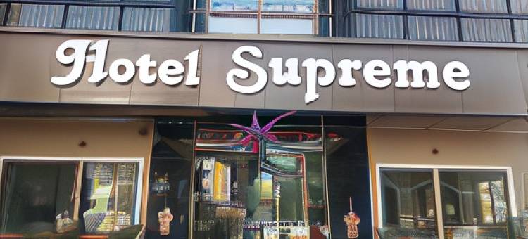 高级酒店(Hotel Supreme (Vasco))图片