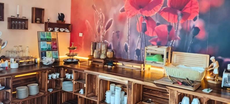 哈斯莱西登斯酒店(Hotel Harzresidenz)图片