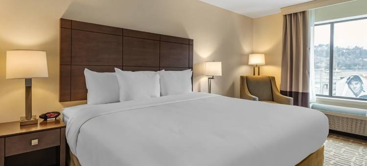 匹兹堡北岸舒适套房酒店(Comfort Inn & Suites Pittsburgh-Northshore)图片