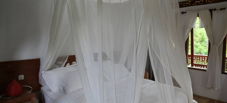 帕迪生态小屋酒店(Padi Ecolodge)图片