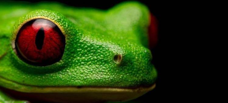 美丽斯卡旅馆(Hospedaje Meryscar)图片