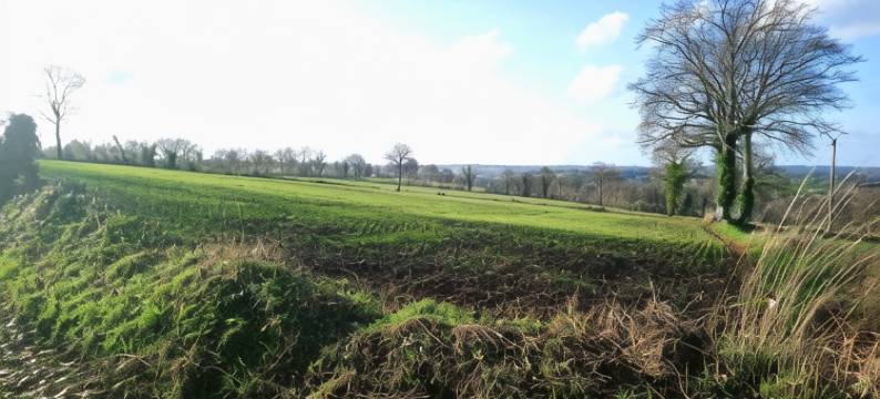 弗雷内斯民宿(Gite de Frenes)图片