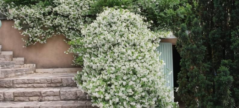 杜拜别墅住宿加早餐旅馆(Villa Thebaïde Chambres d'hôtes)图片