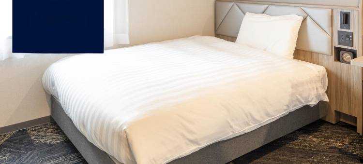 苫小牧舒适酒店(Comfort Hotel Tomakomai)图片