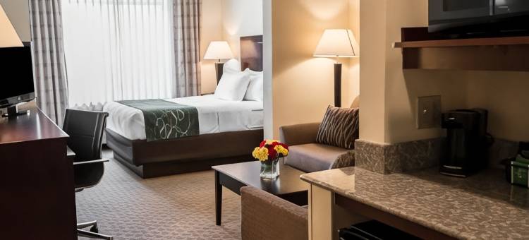 南本德圣母院大学区舒适套房酒店(Comfort Suites University Area Notre Dame-South Bend)图片