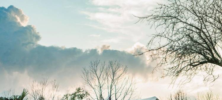 REDBERRY'S豪华住宿(Redberry's Luxury Stay)图片