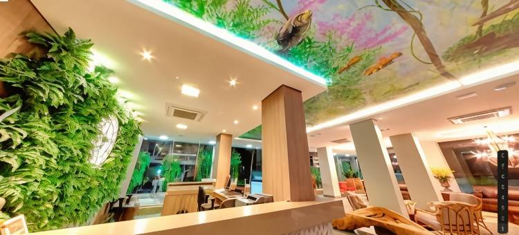 亚马逊广场酒店(Amazon Plaza Hotel)图片