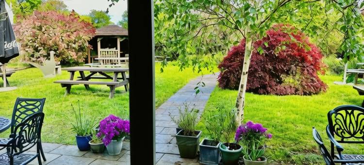 诺特利阿姆斯旅馆(Notley Arms Inn Exmoor National Park)图片