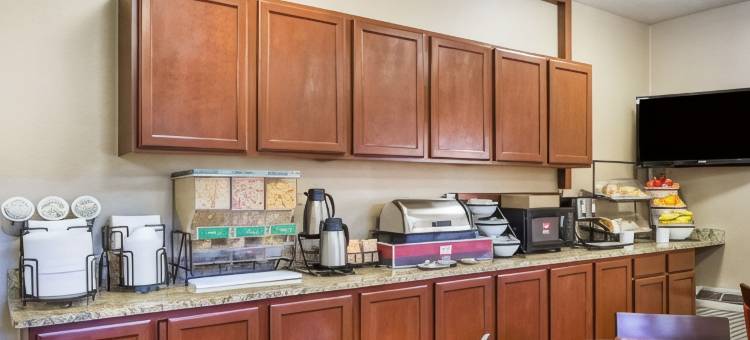 艾尔克舒适酒店(Comfort Inn Elko)图片