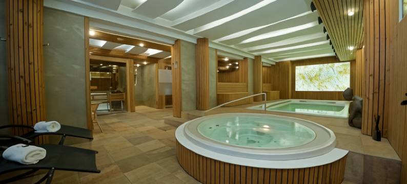 巴托斯酒店(Hotel Bartoš)图片