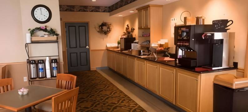 邓迪丽怡酒店(Country Inn & Suites by Radisson, Dundee, MI)图片