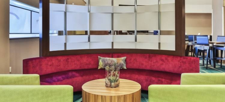 芝加哥西南布尔里奇/欣斯代尔SpringHill Suites 酒店(SpringHill Suites by Marriott Chicago Southwest at Burr Ridge/Hinsdale)图片