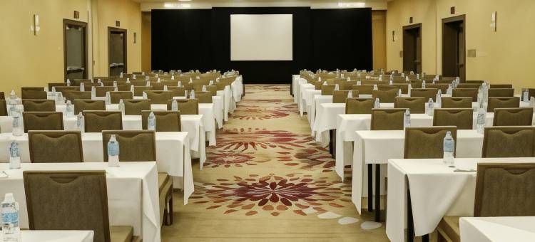 圣路易斯机场万豪酒店(Marriott St. Louis Airport)图片