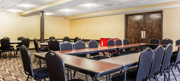 棒球场区舒适套房酒店(Comfort Inn & Suites Ballpark Area)图片