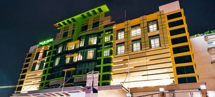 泗水棕榈公园酒店(Palm Park Hotel Surabaya)图片