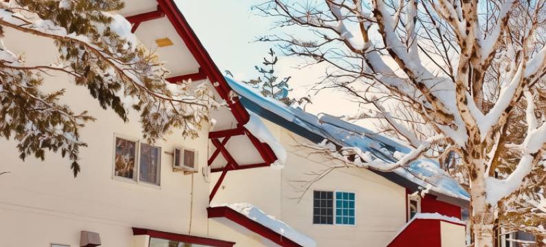 艺术色彩小屋(Appi Arts Color)图片