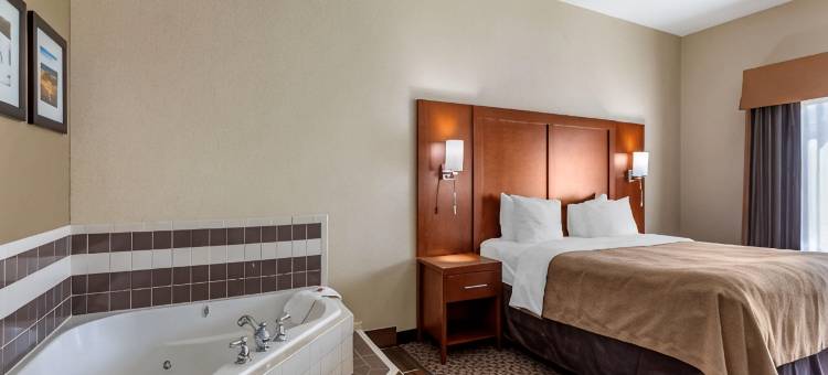 卡尔德本大学区舒适套房酒店(Comfort Inn & Suites Carbondale University Area)图片
