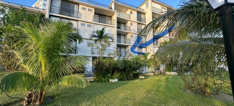 棕榈树湾-海滨;绝美部分海景民宿!(Palm Tree Cove - Stunning Partial Ocean Views; Beachfront Location!)图片