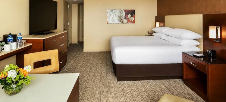 凯悦雷根西奥黑尔芝加哥(Hyatt Regency O'Hare Chicago)图片