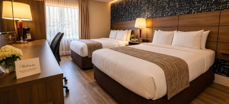 舒适酒店(Comfort Inn)图片