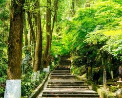 Cool off in Qionglai: Tiantai Mountain's Nanmu Brook