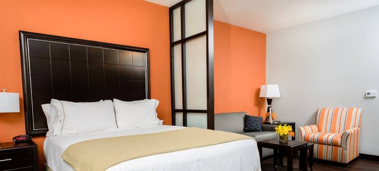 智选假日套房酒店奥斯汀(Holiday Inn Express & Suites AUSTIN NW - ARBORETUM AREA by IHG)图片