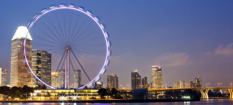 新加坡美芝路泛太平洋高级服务套房酒店式公寓(Pan Pacific Serviced Suites Beach Road, Singapore)图片