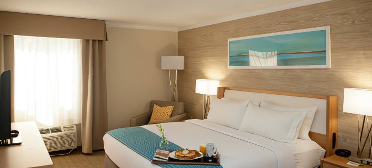 洲际酒店集团假日酒店 格林维尔(Holiday Inn Greenville)图片