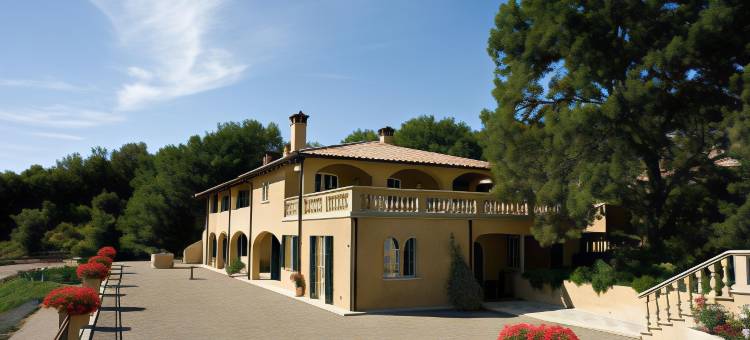 Tenuta il Sassone - 美酒与美食(Tenuta il Sassone - Wine & Food)图片