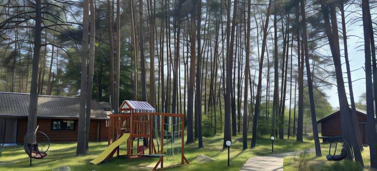 Hotel Sosnovy Bor Hotel图片