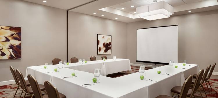 蒂梅丘拉谷葡萄酒乡安泊套房酒店(Embassy Suites by Hilton Temecula Valley Wine Country)图片