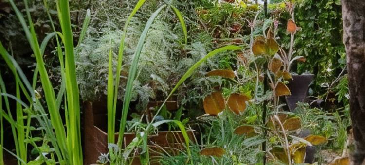 布雷切酒店(Logis Hôtel la Brèche - Restaurant Berthelot)图片