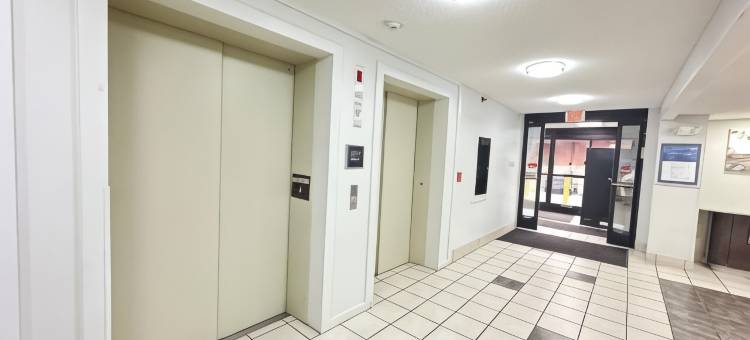 6号汽车旅馆华盛顿特区西南 - 斯普林菲尔德(Motel 6 Springfield, VA - Washington DC Southwest)图片