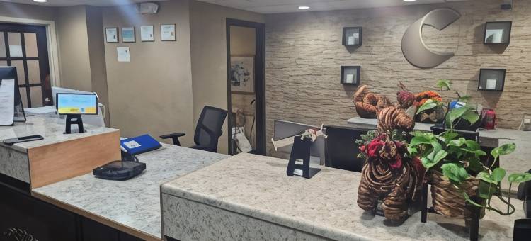 韦瑟斯菲尔德哈特福德舒适酒店(Comfort Inn Wethersfield - Hartford)图片