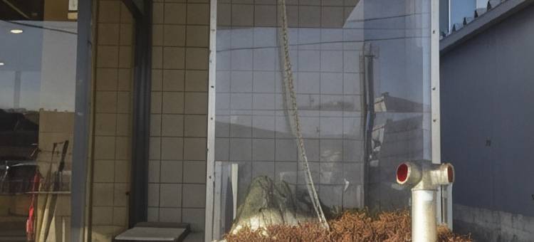 岩城王子酒店(Iwaki Prince Hotel)图片