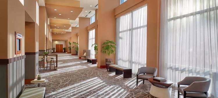 罗利市中心万豪酒店(Raleigh Marriott City Center)图片