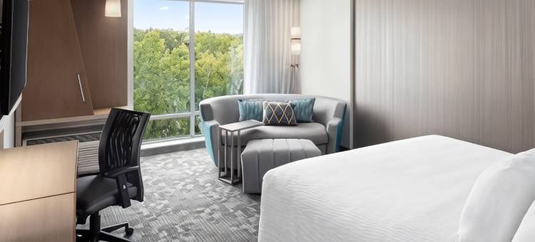 奥尔巴尼特洛伊海滨万怡酒店(Courtyard Albany Troy/Waterfront)图片