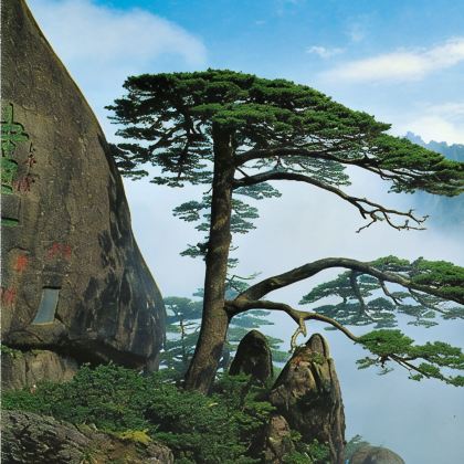 黄山风景区+宏村景区+千岛湖景区+西递5日4晚跟团游