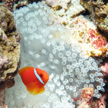 三亚+西沙群岛5日4晚跟团游